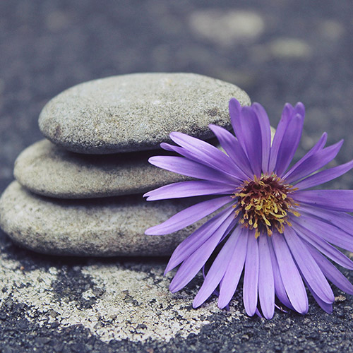 Spiritual Life Coaching